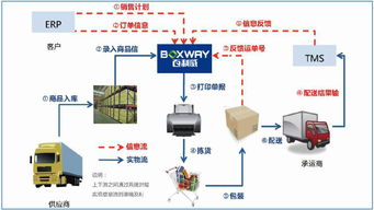 百利威感廿 共贏之道，打造電商現代供應鏈管理服務第一品牌