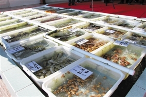 南澳海鮮餐廳推新模式 取消加工費，強化銷售品質承諾